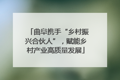 曲阜携手“乡村振兴合伙人”，赋能乡村产业高质量发展