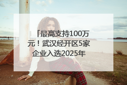 最高支持100万元！武汉经开区5家企业入选2025年度武汉市重点研发计划拟立项项目名单