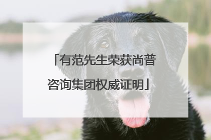 有范先生荣获尚普咨询集团权威证明