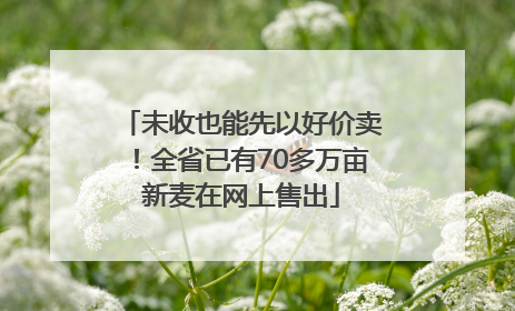 未收也能先以好价卖！全省已有70多万亩新麦在网上售出