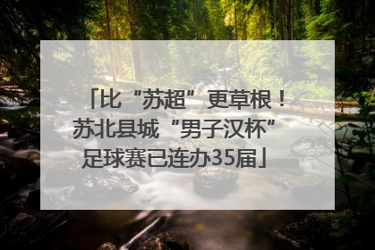 比“苏超”更草根！苏北县城“男子汉杯”足球赛已连办35届