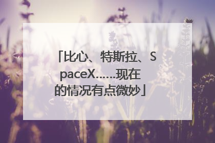 比心、特斯拉、SpaceX……现在的情况有点微妙