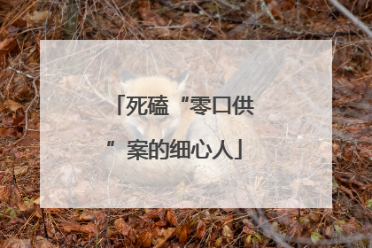 死磕“零口供”案的细心人