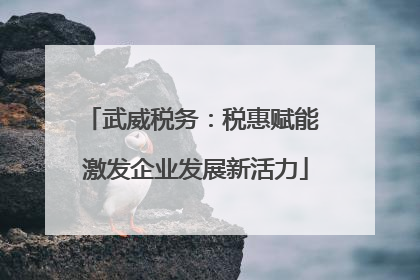 武威税务：税惠赋能 激发企业发展新活力