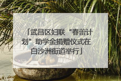 武昌区妇联“春蕾计划”助学金捐赠仪式在白沙洲街道举行