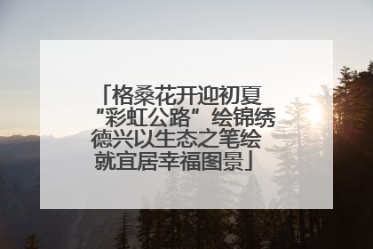 格桑花开迎初夏 “彩虹公路”绘锦绣 德兴以生态之笔绘就宜居幸福图景
