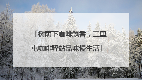 树荫下咖啡飘香,三里屯咖啡驿站品味慢生活