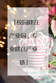校园建在产业园，专业建在产业链