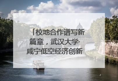 校地合作谱写新篇章，武汉大学·咸宁低空经济创新研究院签约成立