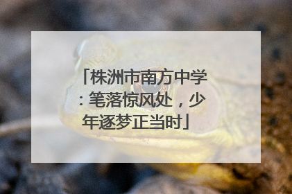株洲市南方中学：笔落惊风处，少年逐梦正当时