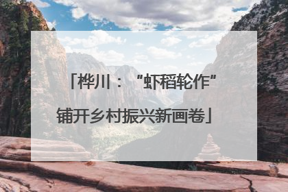 桦川：“虾稻轮作”铺开乡村振兴新画卷