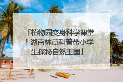 植物园变身科学课堂！湖南林草科普带小学生探秘自然王国