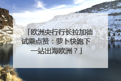 欧洲央行行长拉加德试乘点赞：萝卜快跑下一站出海欧洲？