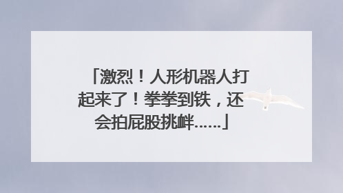 激烈！人形机器人打起来了！拳拳到铁，还会拍屁股挑衅……