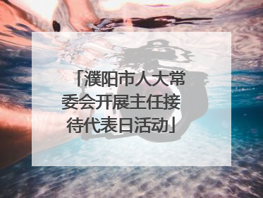濮阳市人大常委会开展主任接待代表日活动