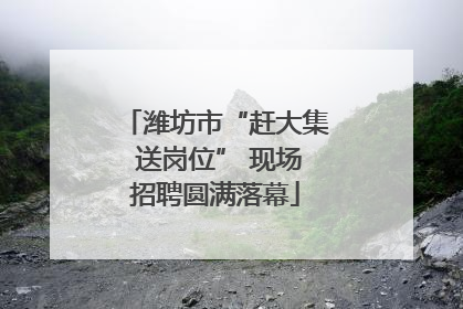 潍坊市“赶大集 送岗位” 现场招聘圆满落幕