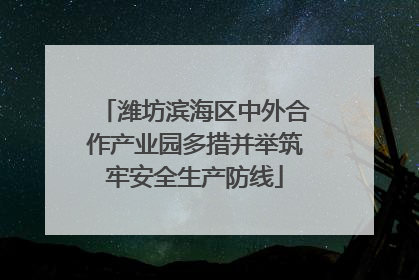 潍坊滨海区中外合作产业园多措并举筑牢安全生产防线