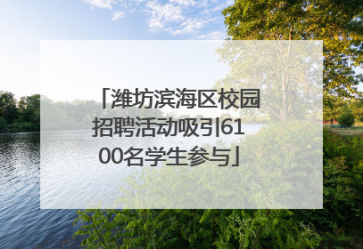 潍坊滨海区校园招聘活动吸引6100名学生参与
