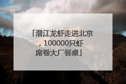 潜江龙虾走进北京，100000只虾席卷大厂餐桌