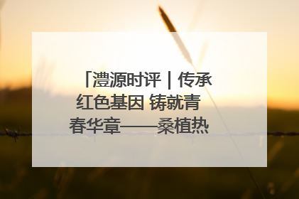 澧源时评｜传承红色基因 铸就青春华章——桑植热土上的青春长征