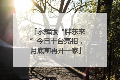 永辉版“胖东来”今日丰台亮相，月底前再开一家