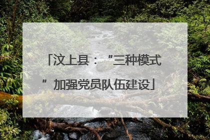 汶上县：“三种模式”加强党员队伍建设