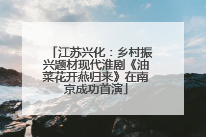 江苏兴化：乡村振兴题材现代淮剧《油菜花开燕归来》在南京成功首演
