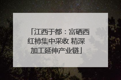 江西于都：富硒西红柿集中采收 精深加工延伸产业链