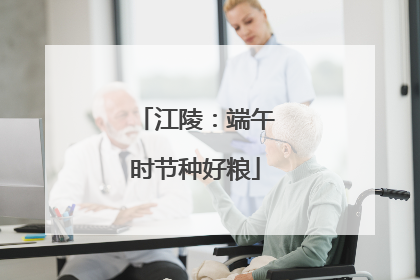 江陵：端午时节种好粮