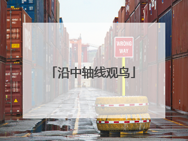 沿中轴线观鸟