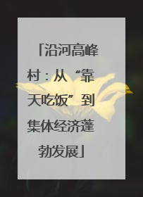 沿河高峰村：从“靠天吃饭”到集体经济蓬勃发展