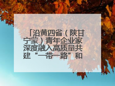 沿黄四省（陕甘宁蒙）青年企业家深度融入高质量共建“一带一路”和西部陆海新通道建设战略合作交流会在甘肃兰州召开