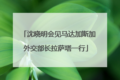 沈晓明会见马达加斯加外交部长拉萨塔一行
