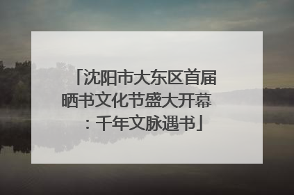 沈阳市大东区首届晒书文化节盛大开幕：千年文脉遇书