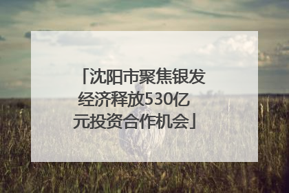 沈阳市聚焦银发经济释放530亿元投资合作机会