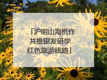 沪明山海携作 共推银发研学红色旅游线路