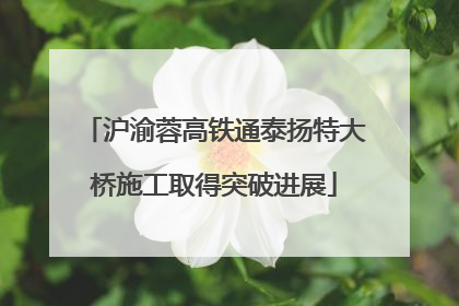 沪渝蓉高铁通泰扬特大桥施工取得突破进展