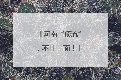 河南“顶流”，不止一面！