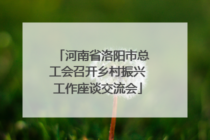 河南省洛阳市总工会召开乡村振兴工作座谈交流会