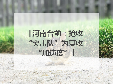 河南台前：抢收“突击队”为夏收“加速度”