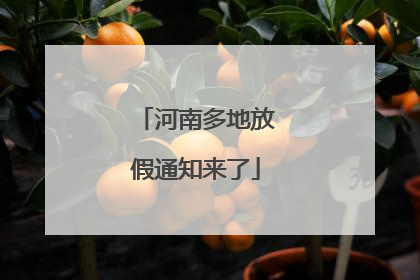 河南多地放假通知来了