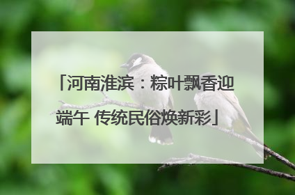 河南淮滨：粽叶飘香迎端午 传统民俗焕新彩