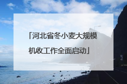 河北省冬小麦大规模机收工作全面启动