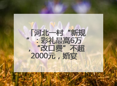 河北一村“新规”：彩礼最高6万，“改口费”不超2000元，婚宴限每户1人参加