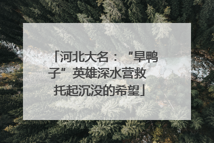 河北大名：“旱鸭子”英雄深水营救 托起沉没的希望