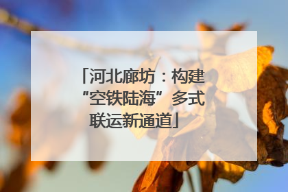 河北廊坊：构建“空铁陆海”多式联运新通道