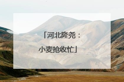 河北隆尧：小麦抢收忙