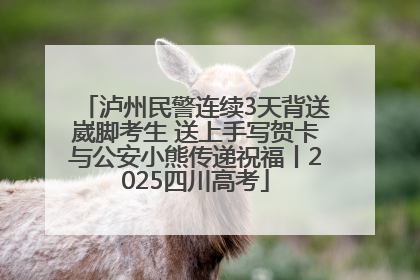 泸州民警连续3天背送崴脚考生 送上手写贺卡与公安小熊传递祝福丨2025四川高考