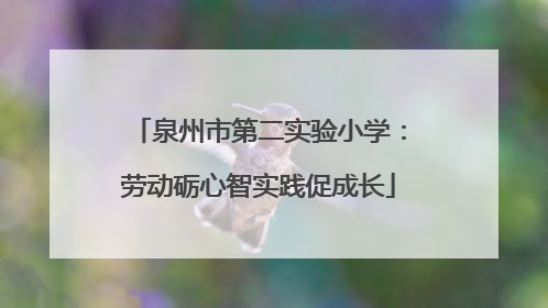 泉州市第二实验小学：劳动砺心智实践促成长
