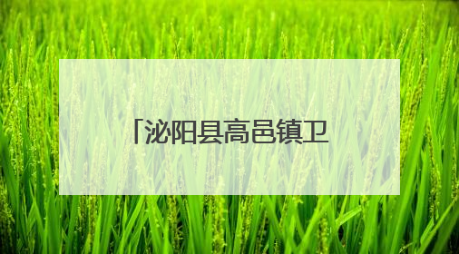 泌阳县高邑镇卫生院：开展“冬病夏治” 以中医药特色疗法助力基层群众健康